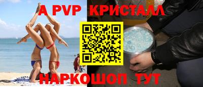 крисы Моздок
