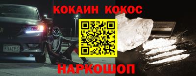 крисы Моздок