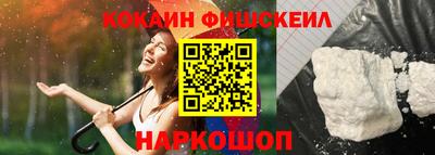 крисы Моздок