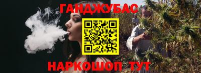 крисы Моздок