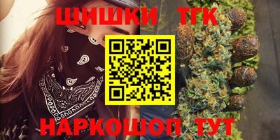 крисы Моздок