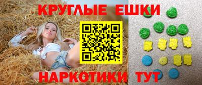 крисы Моздок