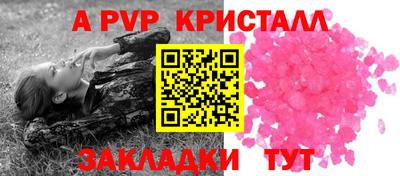 крисы Моздок
