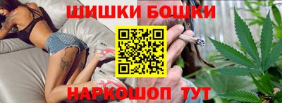 крисы Моздок