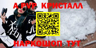 крисы Моздок